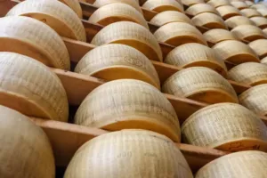 Parmezán jako zástava úvěru? Italská banka sází na „zrající kapitál“ a ukládá statisíce bochníků do trezorů