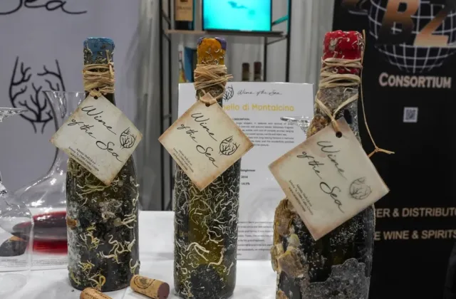 Ochutnali jsme chilské víno, které zrálo 20 metrů pod hladinou: Experiment, který mění pohled na zrání vína