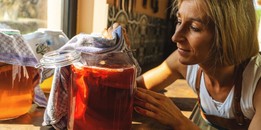 Světový den kombuchy: Za skutečnou kvalitu si připlatíte, tu nejpoctivější si však připravíte v několika krocích sami