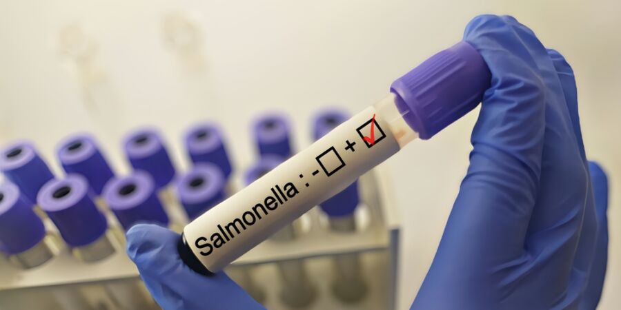 Máte v mrazáku „akční“ zásoby? Mráz salmonelu nezastaví, proto raději zkontrolujte šarže dříve, než začnete vařit