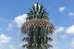 Ananas jako okázalý luxus: Býval vzácný, šlechta si jej pronajímala jako dekoraci na hostiny