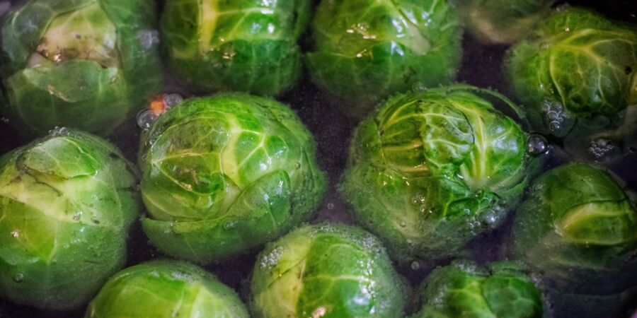 Růžičková kapusta nemusí být jen za trest: Moderní úprava z ní dělá gastronomickou hvězdu