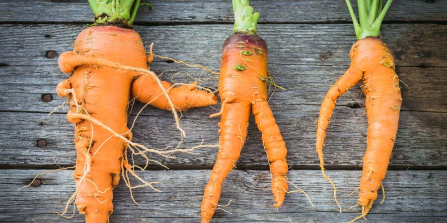 Proč esteticky nedokonalé potraviny často nesou více bioaktivních látek důležitých pro buněčné zdraví?