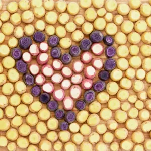 Jste milovníci brambor? Tak vše nejlepší, dnes je Potato Lover’s Day