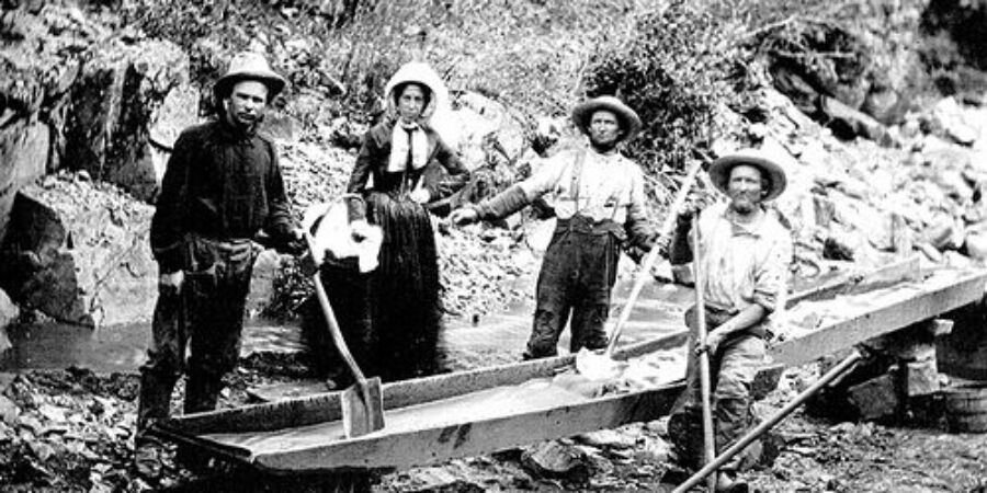 Zlatá horečka proměnila vejce v luxus: Kalifornií otřásl potravinový chaos, jaký neměl obdoby