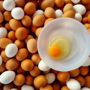 Velikonoční evergreen, nebo nová realita? Ceny vajec jsou ještě vyšší, než jsme doufali