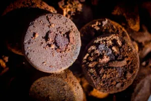 Vinné slupky, kávová sedlina a vaječné skořápky: Seznamte se s nečekanými hrdiny technologické revoluce