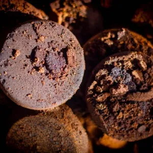 Vinné slupky, kávová sedlina a vaječné skořápky: Seznamte se s nečekanými hrdiny technologické revoluce