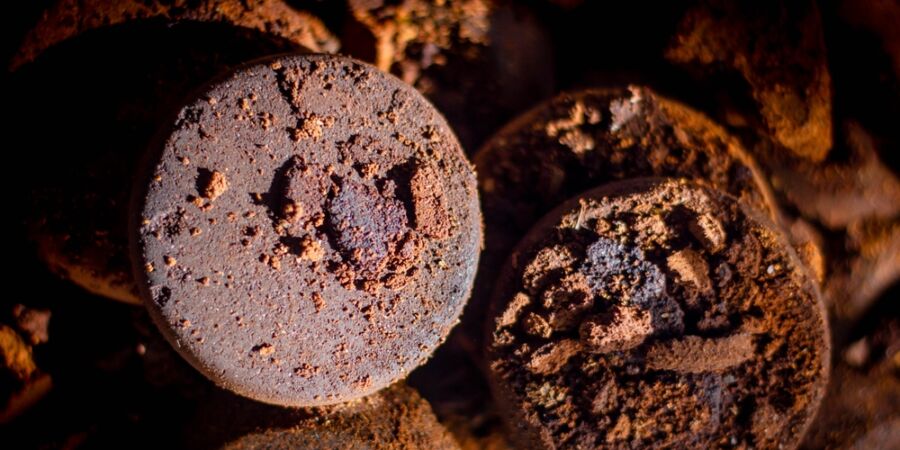 Vinné slupky, kávová sedlina a vaječné skořápky: Seznamte se s nečekanými hrdiny technologické revoluce