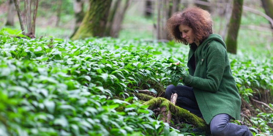 Medvědí česnek není jen na pesto: Během pár minut z něj uděláte slané pečivo, jemnou polévku i poctivé jarní noky