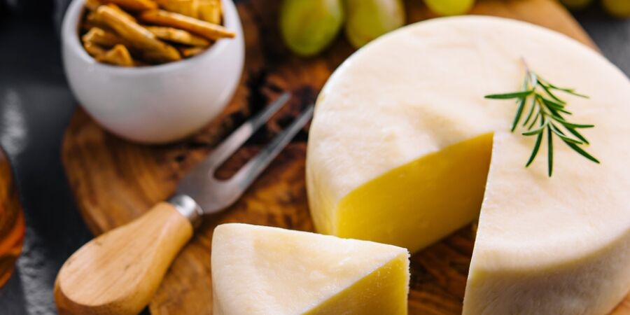 Bílé zlato ze Zasavice: Proč srbský Pule zůstává technologickou hádankou, kterou průmysl nerozlouskl