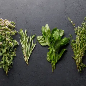 Libeček, šalvěj a saturejka kdysi vládly české kuchyni. Zapomenutá alchymie našich prababiček se vrací na talíř