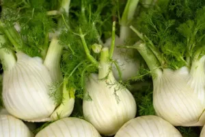 Fenykl není jen rekvizita pro influencery, ale zelenina s velkou chutí, kterou proměníte v polévku, přílohu i svěží salát