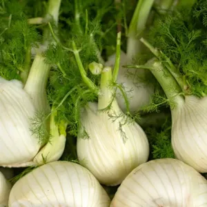 Fenykl není jen rekvizita pro influencery, ale zelenina s velkou chutí, kterou proměníte v polévku, přílohu i svěží salát