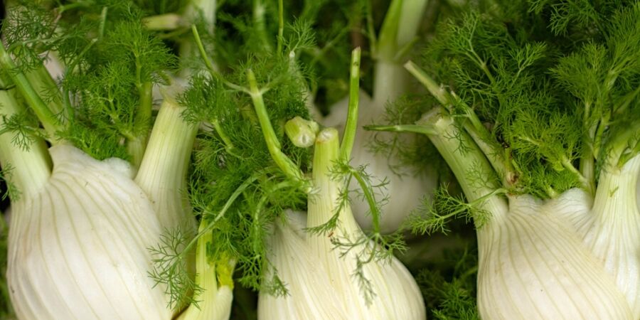 Fenykl není jen rekvizita pro influencery, ale zelenina s velkou chutí, kterou proměníte v polévku, přílohu i svěží salát