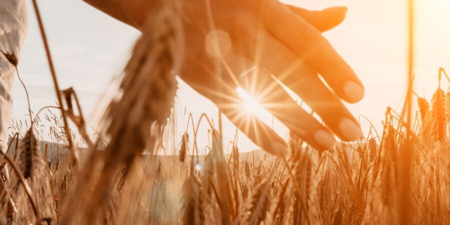 Válka na Blízkém východě zdražuje jarní práce na polích: Jak se promítnou do cen potravin?