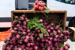 Vyhazujete nať z ředkviček? Děláte chybu: Je jedlá, výživná a překvapivě dobrá