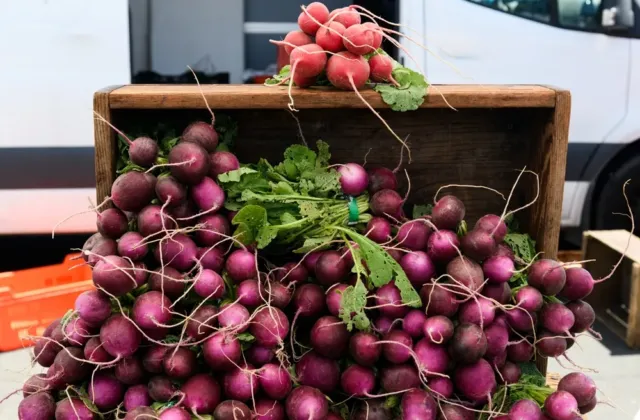 Vyhazujete nať z ředkviček? Děláte chybu: Je jedlá, výživná a překvapivě dobrá
