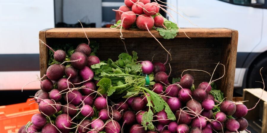 Vyhazujete nať z ředkviček? Děláte chybu: Je jedlá, výživná a překvapivě dobrá