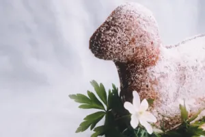 Taháte z trouby místo beránka spíš zrůdičku? Letos se karty mohou obrátit, když si osvojíte základní pravidla