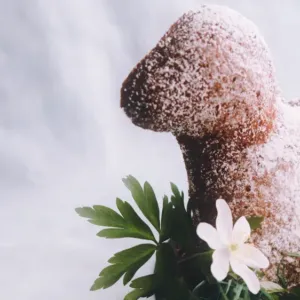 Taháte z trouby místo beránka spíš zrůdičku? Letos se karty mohou obrátit, když si osvojíte základní pravidla