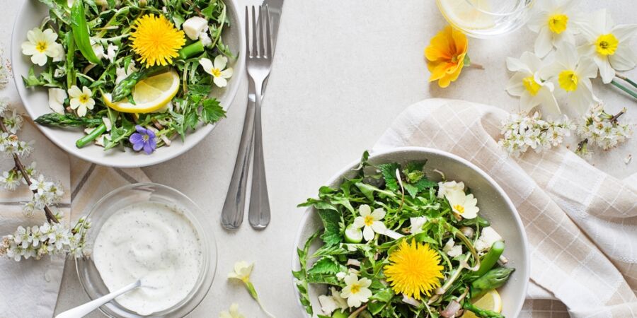 Salát z pampelišek i čekankové puky nejsou jen babské rady: Pro tělo mají zjara zvláštní význam, jak je zařadit?