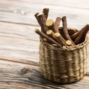 12. duben patří lékořici: Příběh kořene, který si podmanil faraony i moderní medicínu