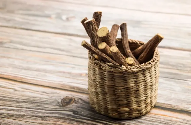 12. duben patří lékořici: Příběh kořene, který si podmanil faraony i moderní medicínu