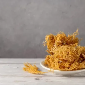 Mořské řasy jako funkční surovina: Sea moss je jen špičkou ledovce