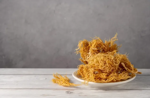 Mořské řasy jako funkční surovina: Sea moss je jen špičkou ledovce