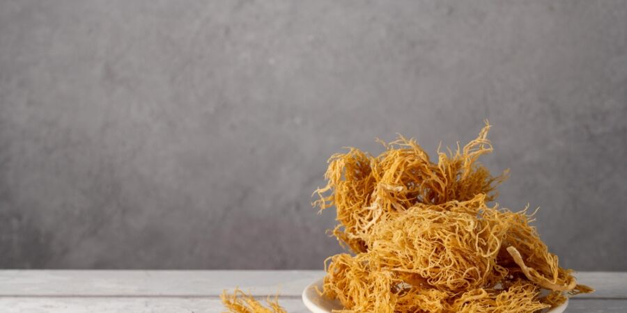 Mořské řasy jako funkční surovina: Sea moss je jen špičkou ledovce