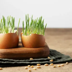 Osení po Velikonocích nemusí končit v koši: Z jarní dekorace se může stát vitaminová bomba na talíři