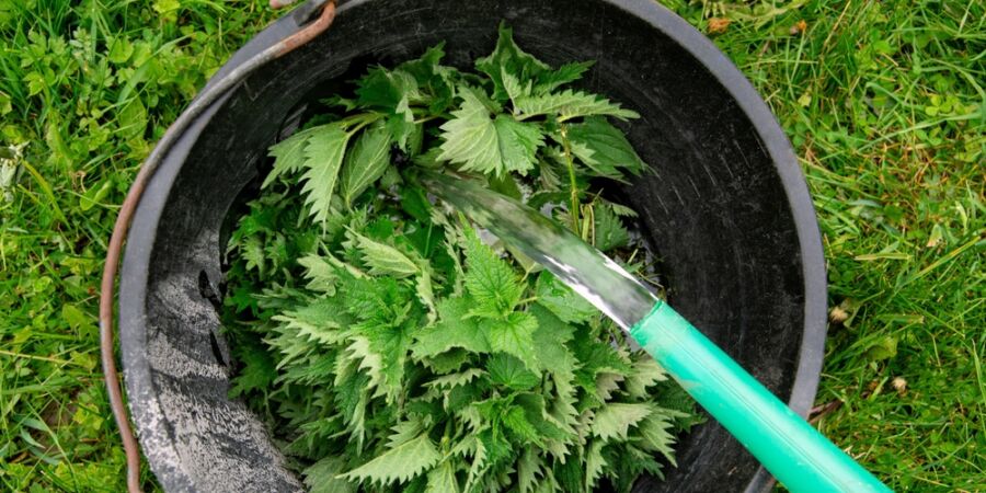 Jarní kopřiva nepatří jen do velikonoční nádivky. Je nejlevnějším a nejúčinnějším multivitaminem planety