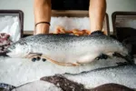 Rybí maso jako elixír zdraví: Proč jsou obavy z těžkých kovů jen zbytečným mýtem, který nás připravuje o vitalitu?