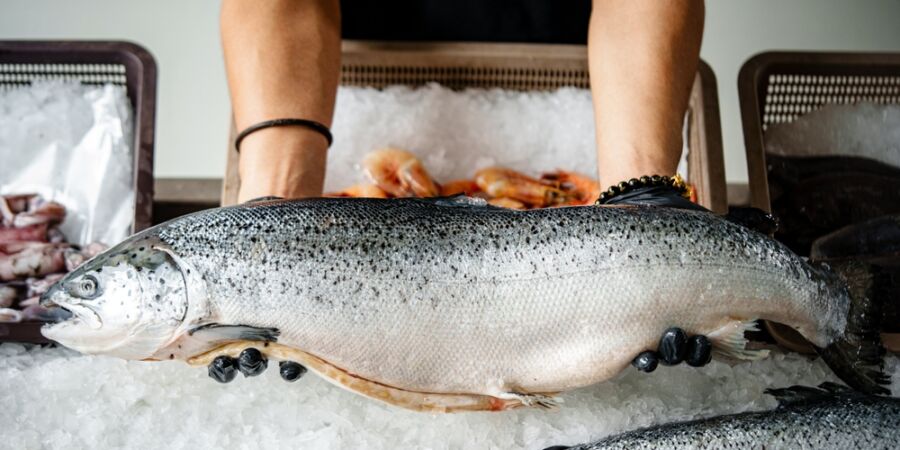 Rybí maso jako elixír zdraví: Proč jsou obavy z těžkých kovů jen zbytečným mýtem, který nás připravuje o vitalitu?