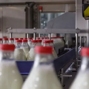 Plastová doba končí? Obaly budoucnosti sází na borovice a chytrou konstrukci