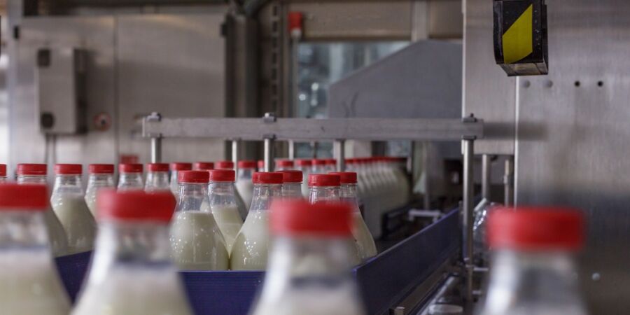 Plastová doba končí? Obaly budoucnosti sází na borovice a chytrou konstrukci