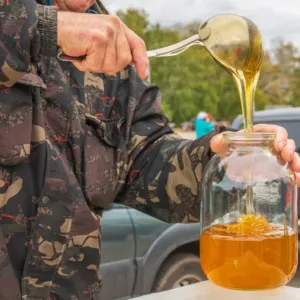 Konec nejasného původu medu: Ode dneška musí etiketa ukázat konkrétní země původu i procenta