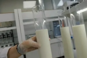 Stejný regál, jiný svět: Rostlinné drinky nejsou dvojčetem mléka, ale zcela odlišnou potravinou, odbornice ukázaly nepříjemné srovnání