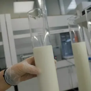 Stejný regál, jiný svět: Rostlinné drinky nejsou dvojčetem mléka, ale zcela odlišnou potravinou, odbornice ukázaly nepříjemné srovnání
