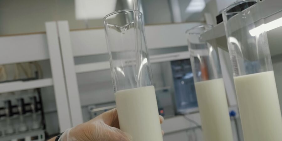 Stejný regál, jiný svět: Rostlinné drinky nejsou dvojčetem mléka, ale zcela odlišnou potravinou, odbornice ukázaly nepříjemné srovnání