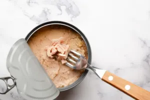 Laboratorní test tuňáků z českých a německých regálů: Dvojí kvalita se nepotvrdila, rozhodovala sůl a cena