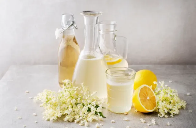 Je čas vyrazit na bez! Proč květy nikdy neomývat a jak z nich vytvořit ten nejlepší sirup?