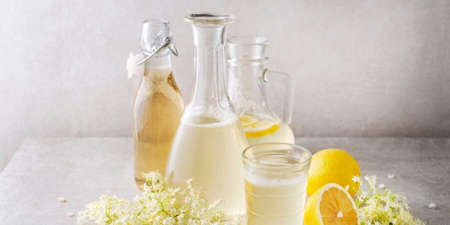 Je čas vyrazit na bez! Proč květy nikdy neomývat a jak z nich vytvořit ten nejlepší sirup?