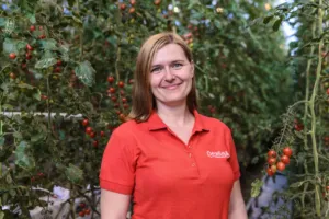 Proč chutná čerstvě utržené lokální rajče jinak než drahé rajče z obchodu? Vysvětluje odbornice Monika Zábojníková