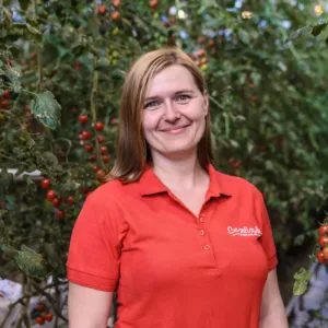 Proč chutná čerstvě utržené lokální rajče jinak než drahé rajče z obchodu? Vysvětluje odbornice Monika Zábojníková