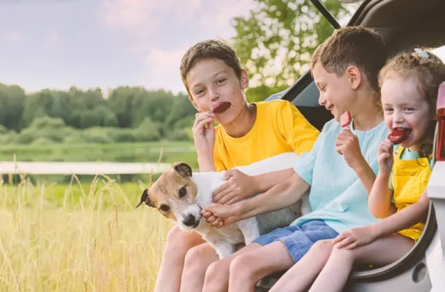 Zmrzlina povolila v rozpáleném autě a doma znovu zmrzla. Kdy už ji nedávat dětem? Napoví jedno vodítko