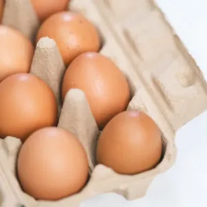 Proč celé vejce v mrazáku praskne a co rozhoduje o jeho skladování: Víte, že v Americe chladí vejce jinak než v Evropě?