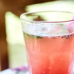 Slibovali domácí limonádu, přinesli však šťávu s vodou za 90 korun: Co musí restaurace přiznat a kdy už porušuje zákon?