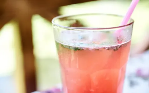 Slibovali domácí limonádu, přinesli však šťávu s vodou za 90 korun: Co musí restaurace přiznat a kdy už porušuje zákon?